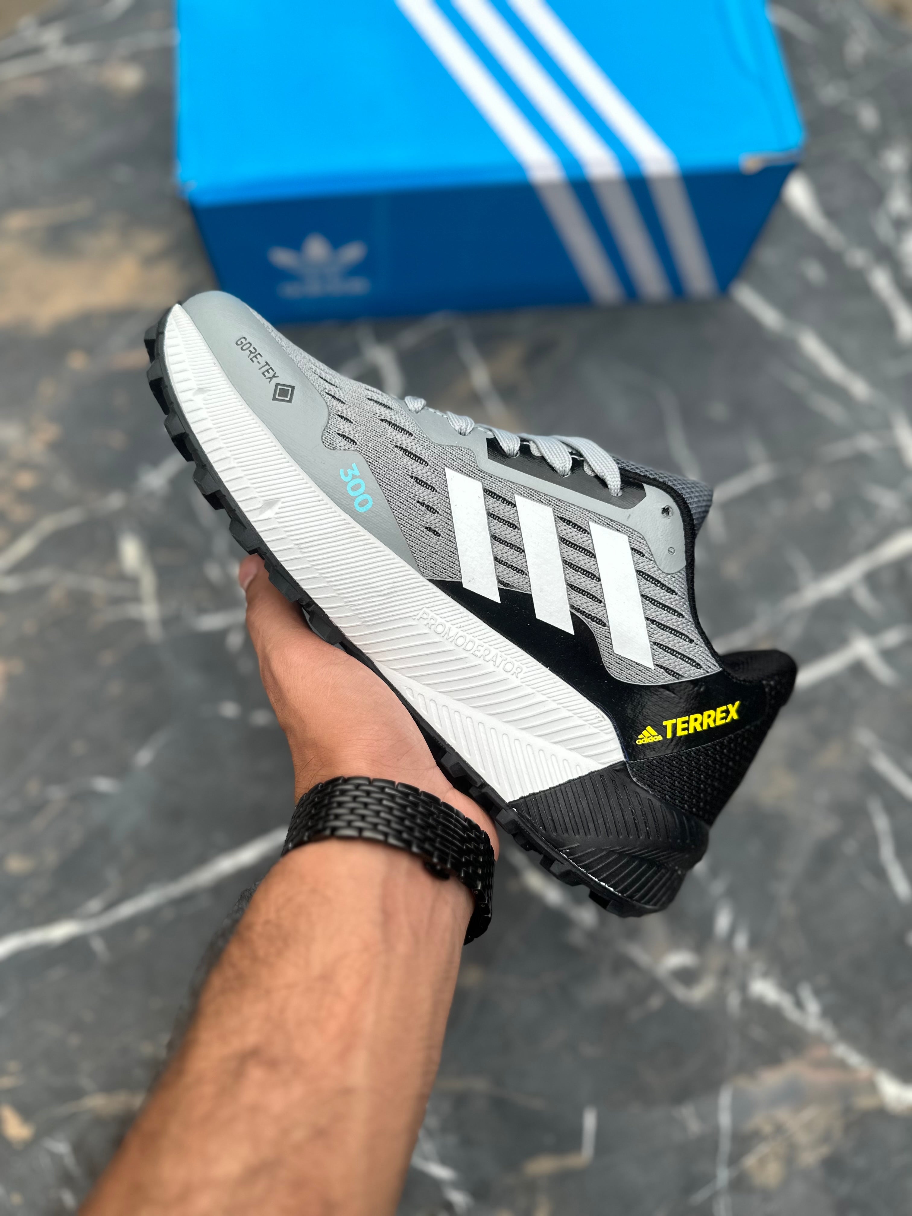 AD terrex Gore-tex (Light grey)