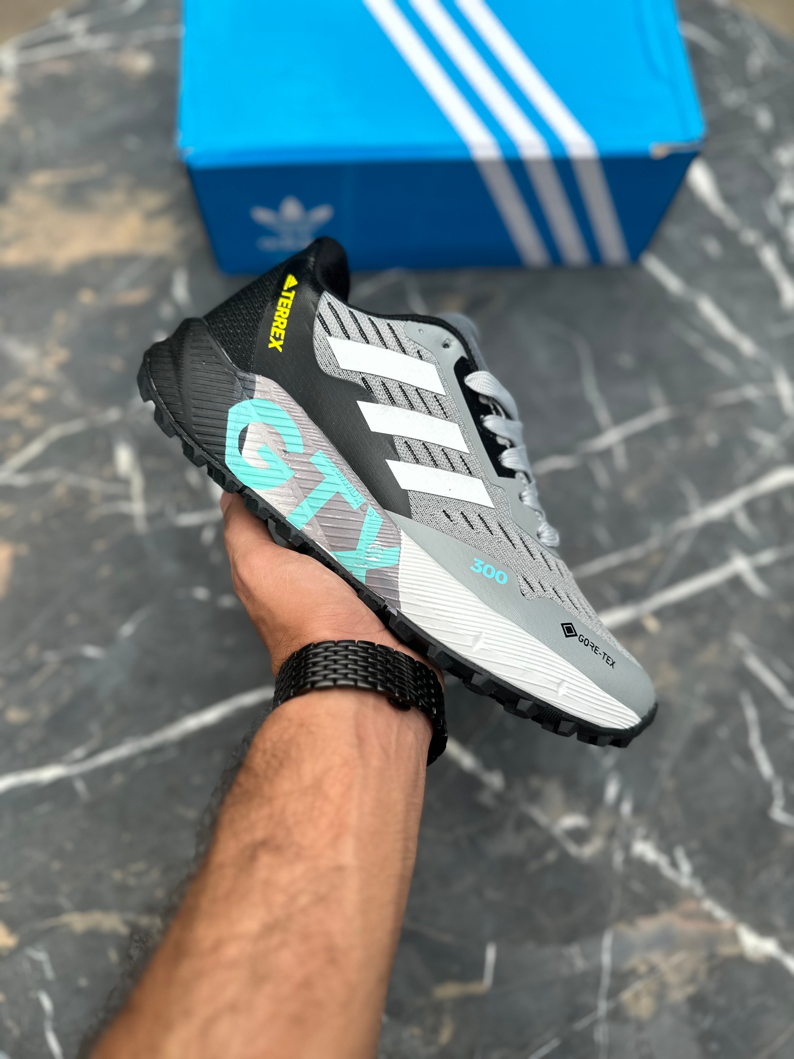 AD terrex Gore-tex (Light grey)